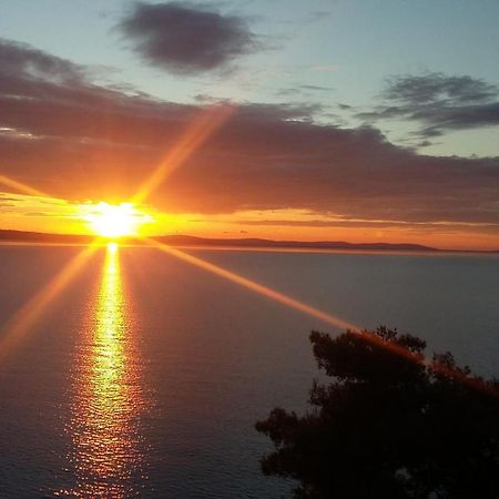 Sunrise Vid Daire Dugi Rat Dış mekan fotoğraf
